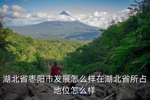 湖北省棗陽(yáng)市發(fā)展怎么樣在湖北省所占地位怎么樣