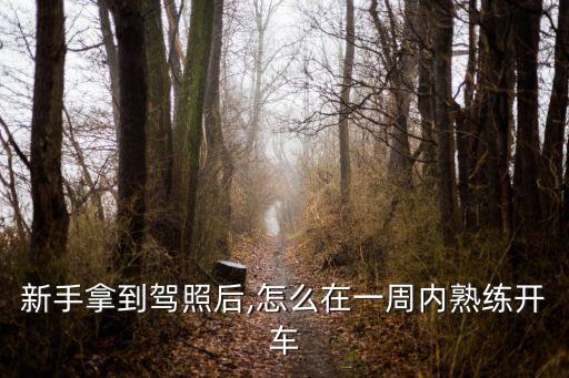 新手拿到駕照后,怎么在一周內熟練開車