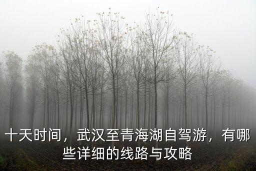 十天時間，武漢至青海湖自駕游，有哪些詳細的線路與攻略