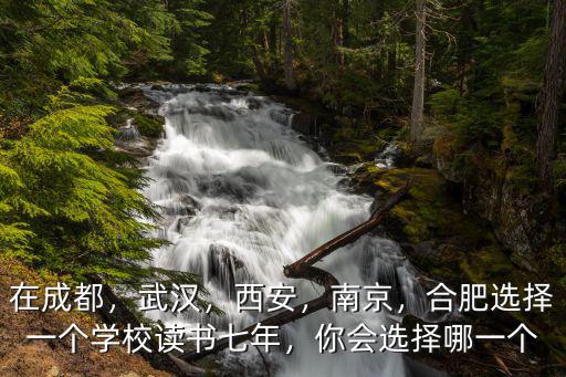 在成都，武漢，西安，南京，合肥選擇一個學校讀書七年，你會選擇哪一個