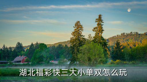 湖北福彩快三大小單雙怎么玩