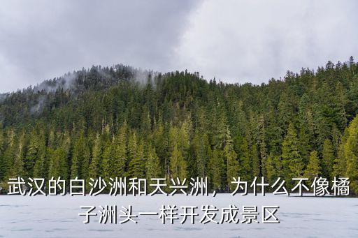 武漢的白沙洲和天興洲，為什么不像橘子洲頭一樣開發(fā)成景區(qū)