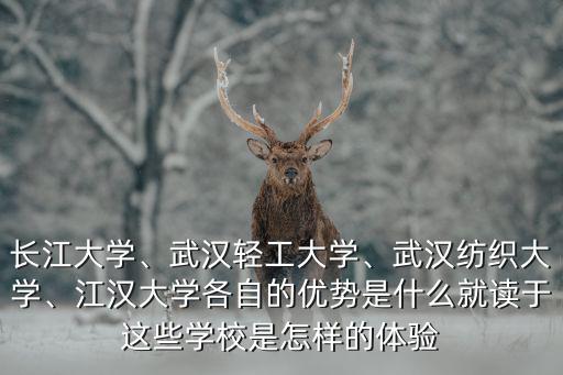 長江大學、武漢輕工大學、武漢紡織大學、江漢大學各自的優勢是什么就讀于這些學校是怎樣的體驗
