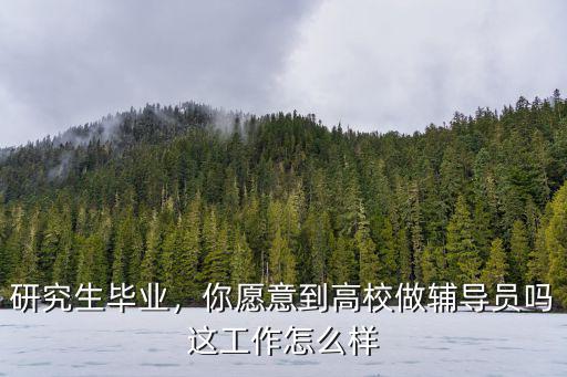研究生畢業(yè)，你愿意到高校做輔導(dǎo)員嗎這工作怎么樣