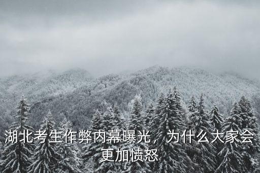 湖北考生作弊內(nèi)幕曝光，為什么大家會更加憤怒