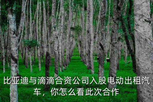 比亞迪與滴滴合資公司入股電動出租汽車，你怎么看此次合作