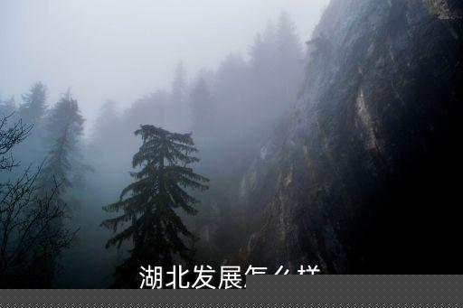 湖北崛起怎么發展,湖北發展怎么樣