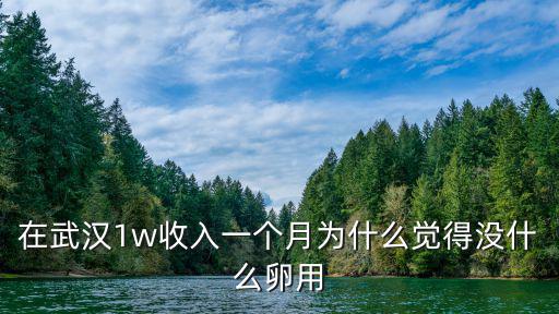 在武漢1w收入一個月為什么覺得沒什么卵用
