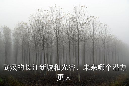 武漢的長江新城和光谷，未來哪個潛力更大