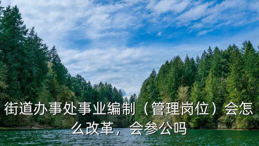 街道辦事處事業編制（管理崗位）會怎么改革，會參公嗎