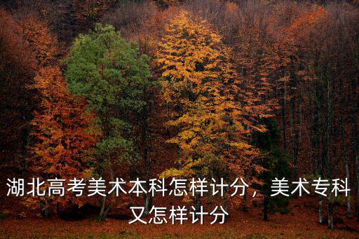 湖北高考美術(shù)本科怎樣計(jì)分，美術(shù)專科又怎樣計(jì)分