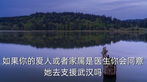 如果你的愛人或者家屬是醫生你會同意她去支援武漢嗎