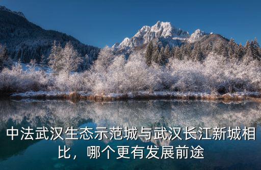 中法武漢生態示范城與武漢長江新城相比，哪個更有發展前途