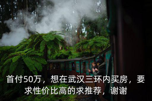 首付50萬，想在武漢三環(huán)內(nèi)買房，要求性價(jià)比高的求推薦，謝謝