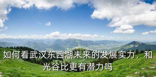 武漢東湖湖區(qū)金銀湖發(fā)展的怎么樣,武漢金銀湖位置怎么樣