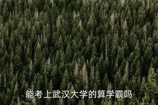 能考上武漢大學(xué)的算學(xué)霸嗎