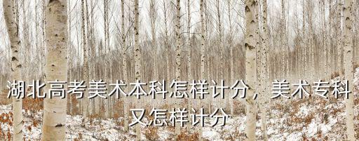 湖北美術(shù)聯(lián)考怎么算分,湖北高考美術(shù)本科怎樣計(jì)分