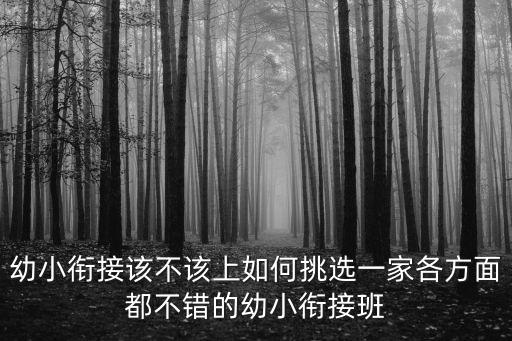 武漢后湖愛睿幼小銜接怎么樣,幼小銜接到底銜接什么