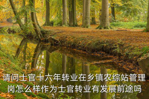 請問士官十六年轉(zhuǎn)業(yè)在鄉(xiāng)鎮(zhèn)農(nóng)綜站管理崗怎么樣作為士官轉(zhuǎn)業(yè)有發(fā)展前途嗎