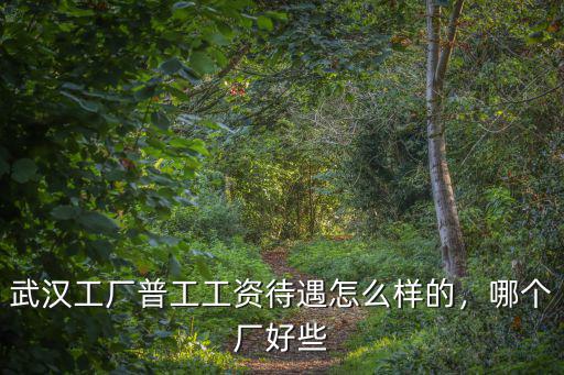 武漢工廠普工工資待遇怎么樣的，哪個(gè)廠好些