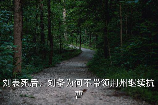 劉表死后，劉備為何不帶領荊州繼續抗曹