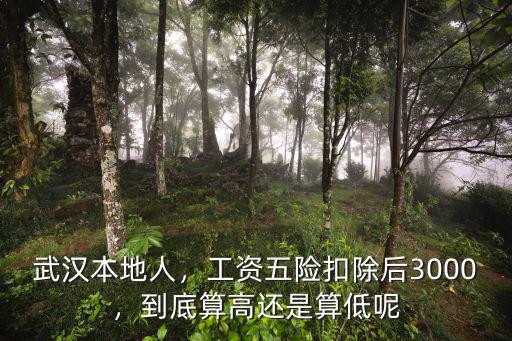 武漢本地人，工資五險(xiǎn)扣除后3000，到底算高還是算低呢