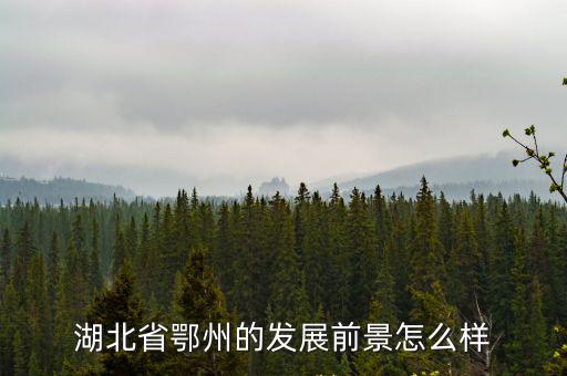 湖北省鄂州的發展前景怎么樣