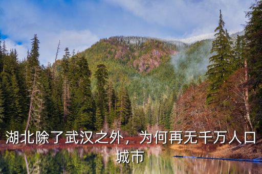 湖北除了武漢之外，為何再無千萬人口城市