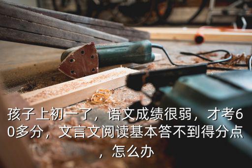 孩子上初一了，語文成績很弱，才考60多分，文言文閱讀基本答不到得分點(diǎn)，怎么辦