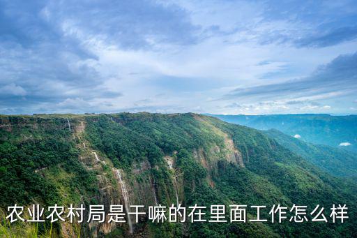 農(nóng)業(yè)農(nóng)村局是干嘛的在里面工作怎么樣