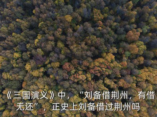 《三國演義》中，“劉備借荊州，有借無還”，正史上劉備借過荊州嗎