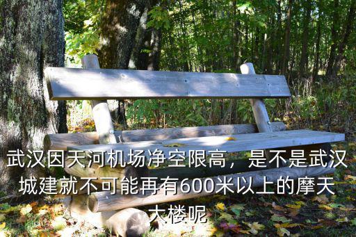 武漢天河機場限速怎么辦,武漢因天河機場凈空限高