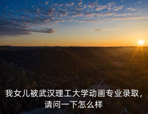 我女兒被武漢理工大學(xué)動(dòng)畫專業(yè)錄取，請問一下怎么樣