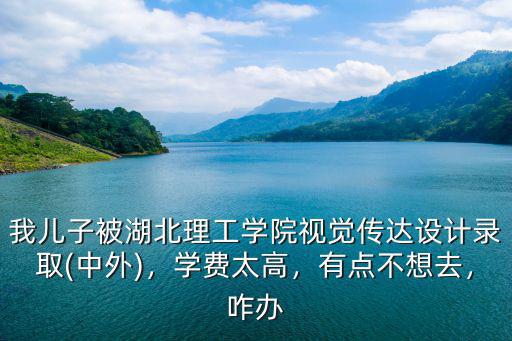 我兒子被湖北理工學(xué)院視覺傳達(dá)設(shè)計(jì)錄取(中外)，學(xué)費(fèi)太高，有點(diǎn)不想去，咋辦