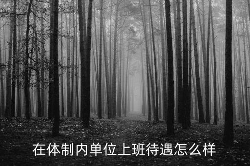 在體制內單位上班待遇怎么樣