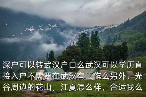 深戶可以轉武漢戶口么武漢可以學歷直接入戶不需要在武漢有工作么另外，光谷周邊的花山，江夏怎么樣，合適我么