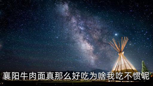 襄陽牛肉面盒裝怎么吃,襄陽牛肉面到底好不好吃