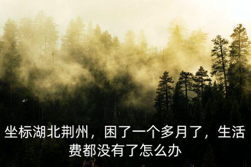 坐標湖北荊州，困了一個多月了，生活費都沒有了怎么辦