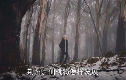荊州、仙桃將怎樣發(fā)展