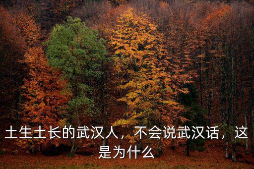 土生土長的武漢人，不會說武漢話，這是為什么