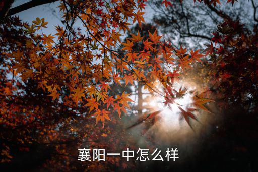 襄陽襄州區機器人拼搭怎么樣,襄陽一中怎么樣