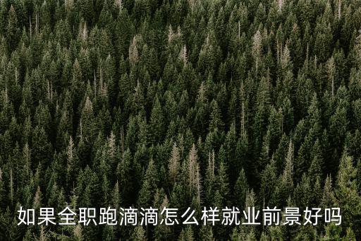 如果全職跑滴滴怎么樣就業前景好嗎