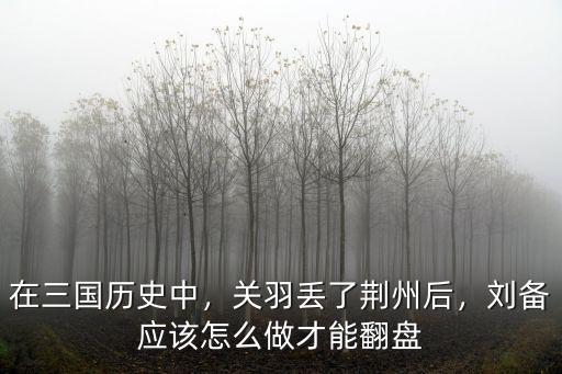 在三國歷史中，關羽丟了荊州后，劉備應該怎么做才能翻盤