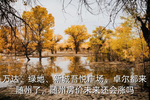 萬達、綠地、新城吾悅廣場、卓爾都來隨州了，隨州房價未來還會漲嗎