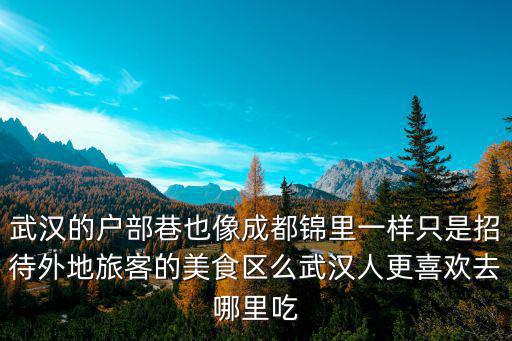 武漢的戶部巷也像成都錦里一樣只是招待外地旅客的美食區(qū)么武漢人更喜歡去哪里吃
