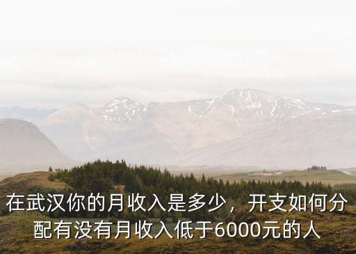 在武漢你的月收入是多少，開支如何分配有沒有月收入低于6000元的人