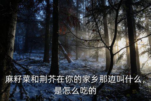 麻籽菜和荊芥在你的家鄉那邊叫什么，是怎么吃的