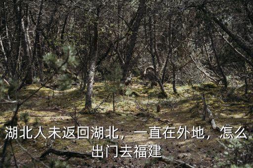 湖北人未返回湖北，一直在外地，怎么出門去福建