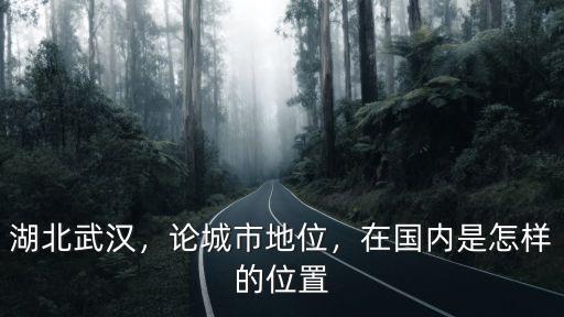 湖北武漢，論城市地位，在國內是怎樣的位置