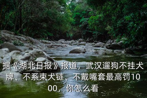 據《湖北日報》報道，武漢遛狗不掛犬牌、不系束犬鏈、不戴嘴套最高罰1000，你怎么看